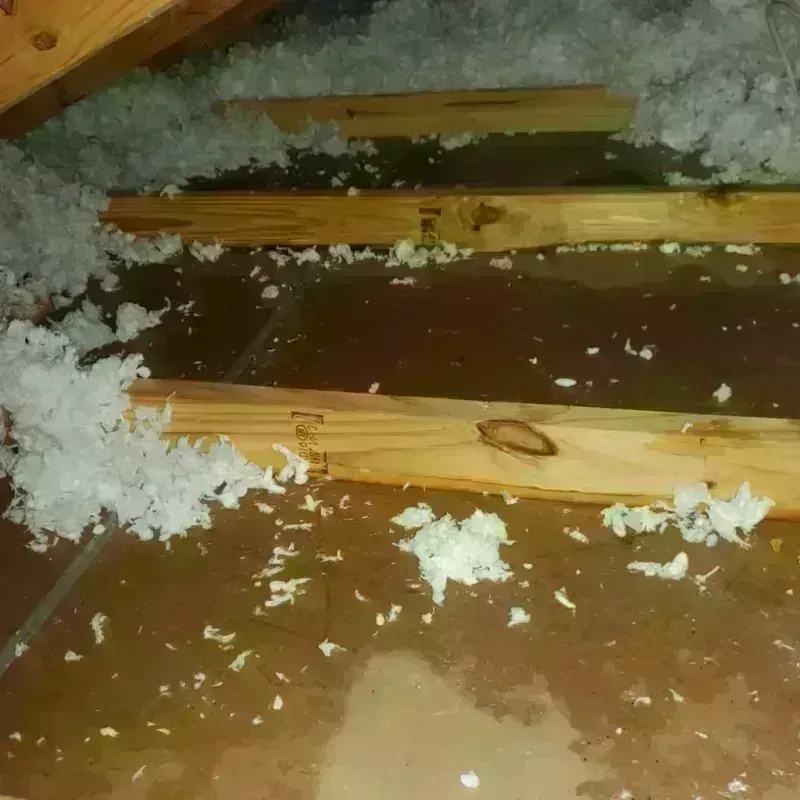 Attic Water Damage in Boyd, TX