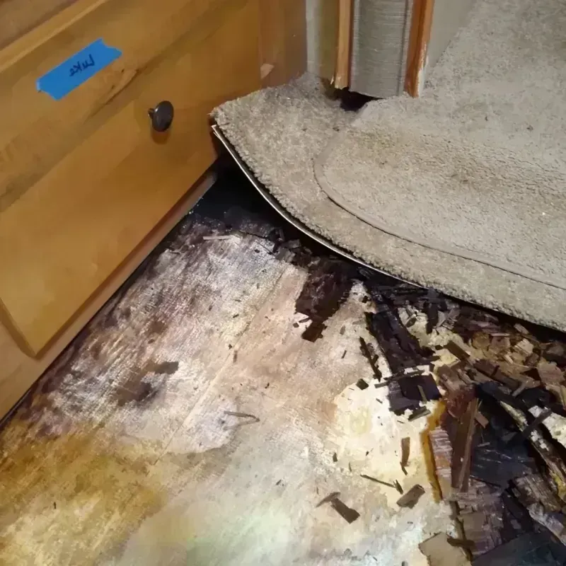 Wood Floor Water Damage in Boyd, TX